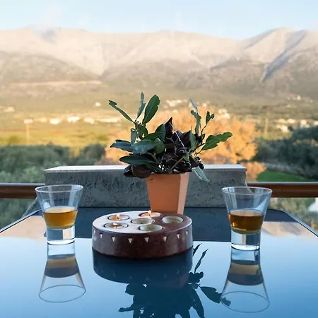 Mani Tigani View Apartmán *